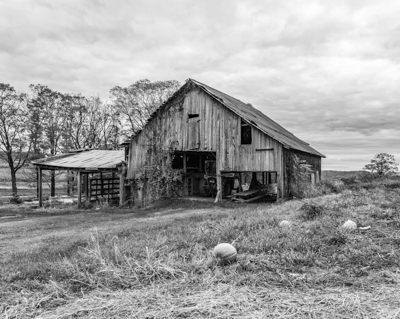 探索迷你倉的奇妙世界：你的私密空間魔法盒