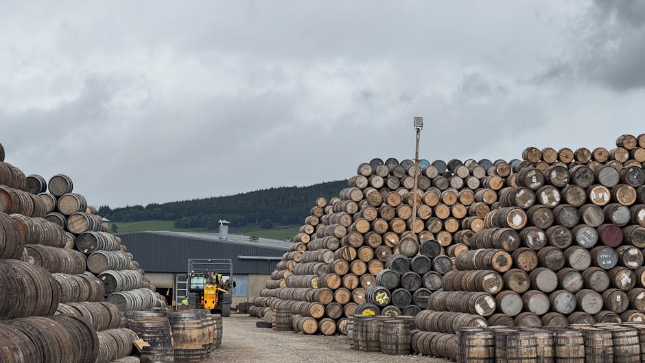 迷你倉：靈活空間管理的實用指南