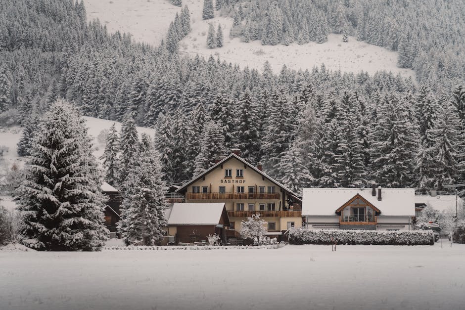 乳癌初期治療：輕鬆了解，打贏這場戰役