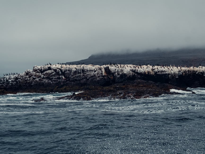 擎天半島：探索與守護這片寶地的問答旅程